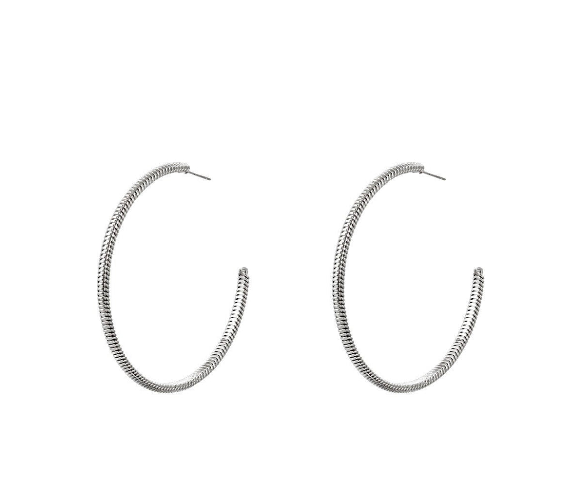 Vina earrings - silver