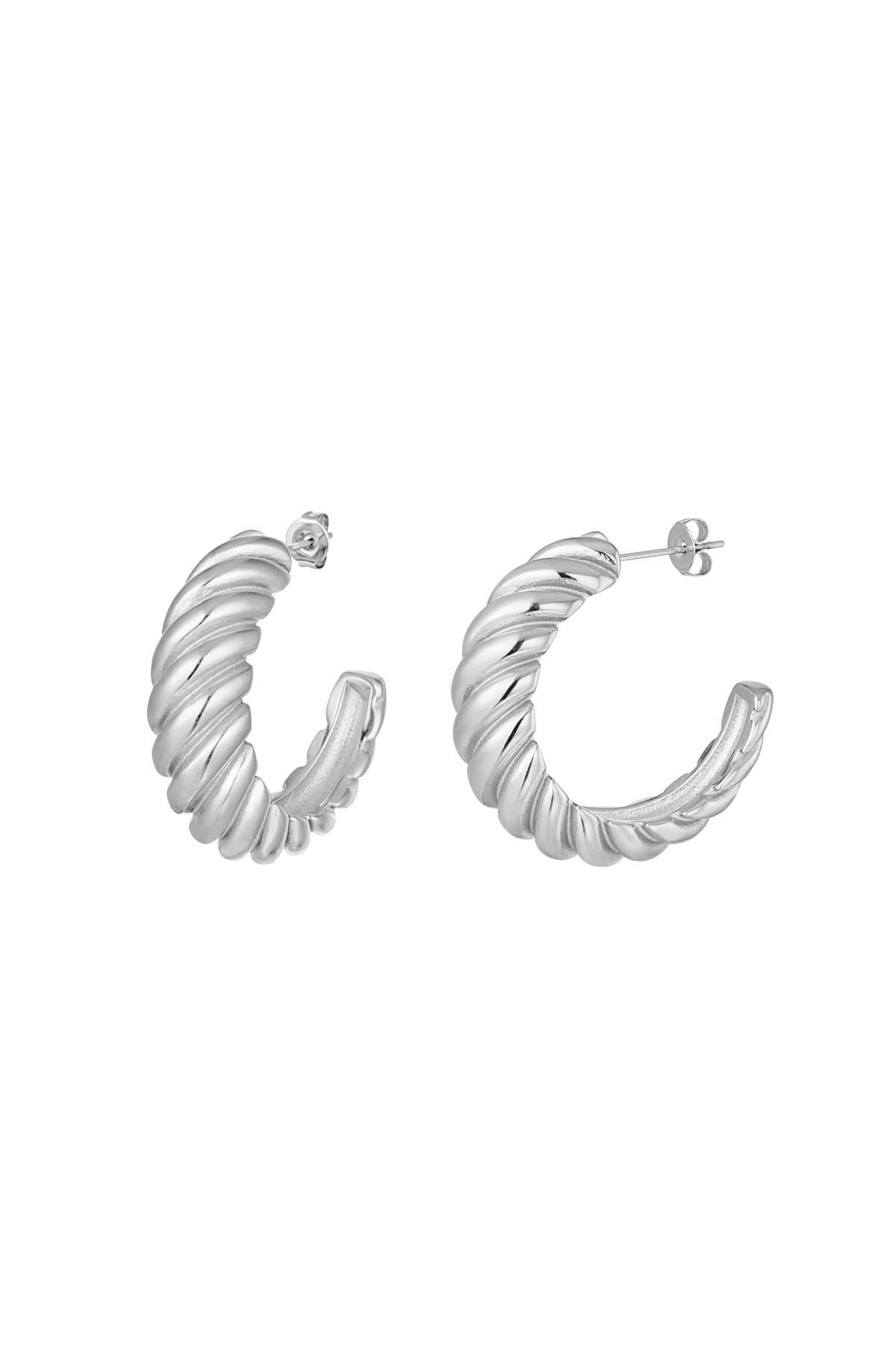 iconic earrings - zilver