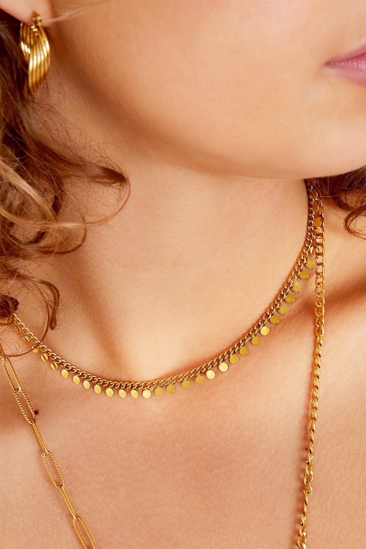 Full coin necklace - zilver