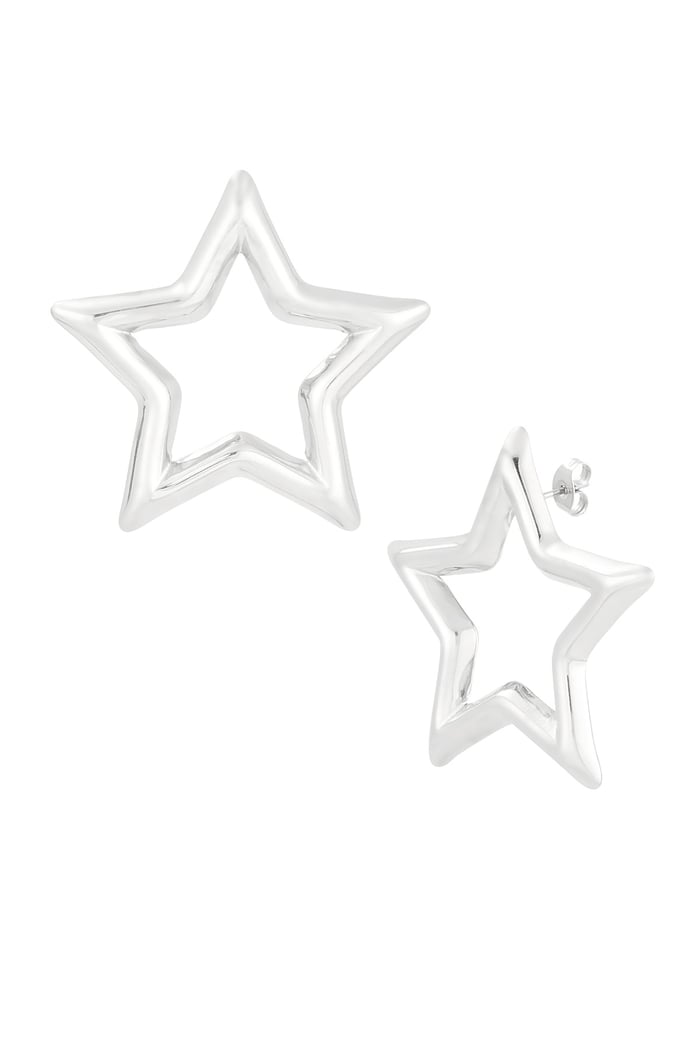 wonder earrings - zilver