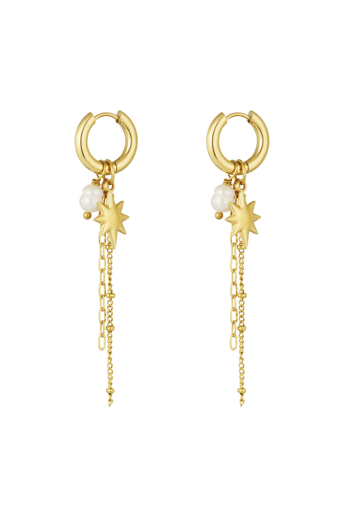 Carlijn earrings - goud