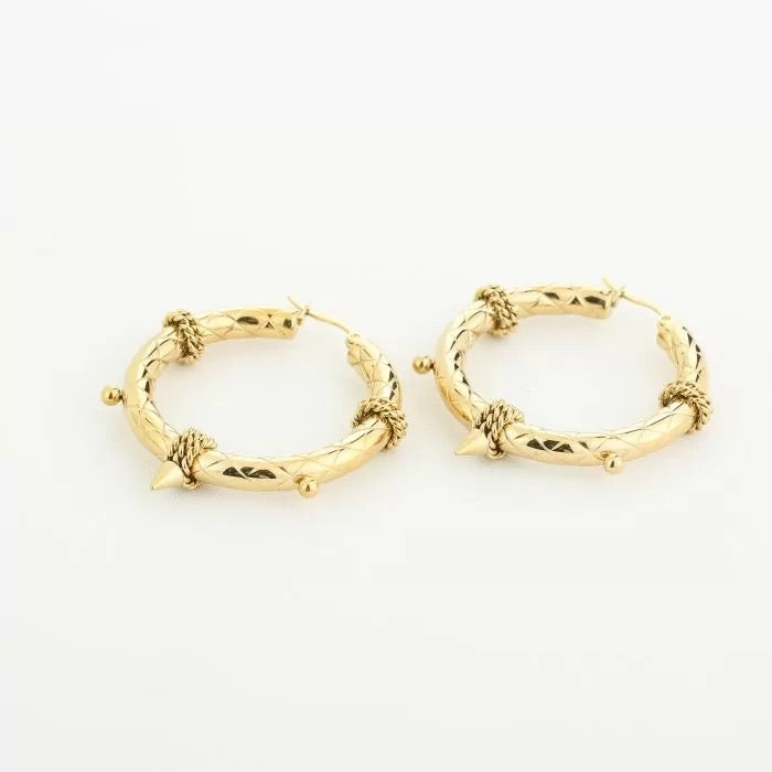 hanna earrings - goud