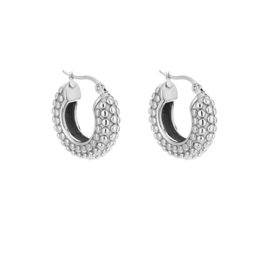 Fiebe earrings - zilver