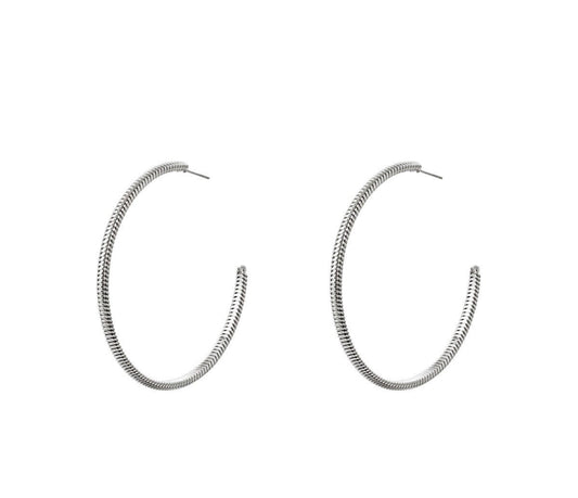 Vina earrings - zilver