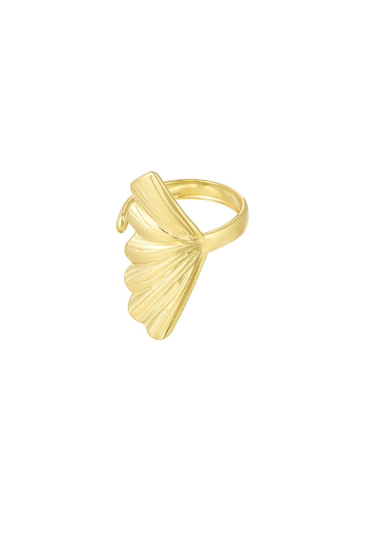 Big sea shell ring - goud