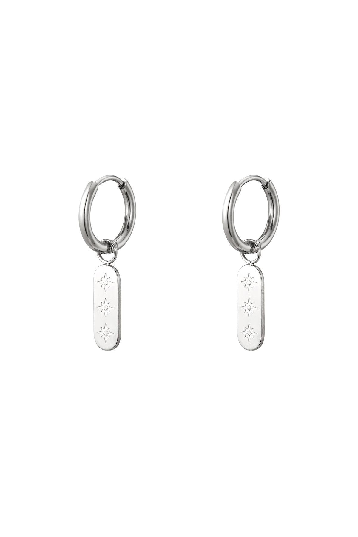 Fien earrings - zilver