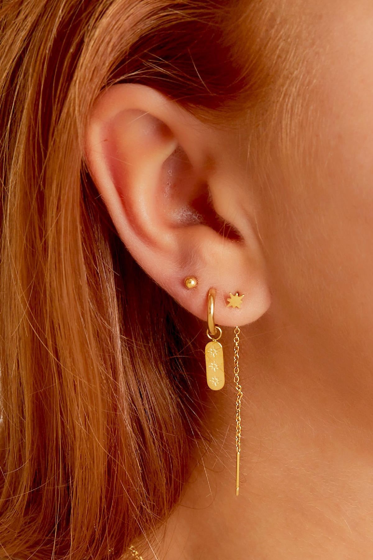 Fien earrings - goud